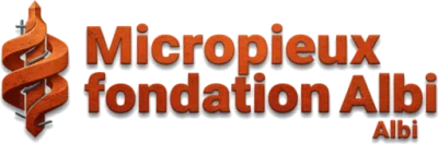 Micropieux fondation Albi